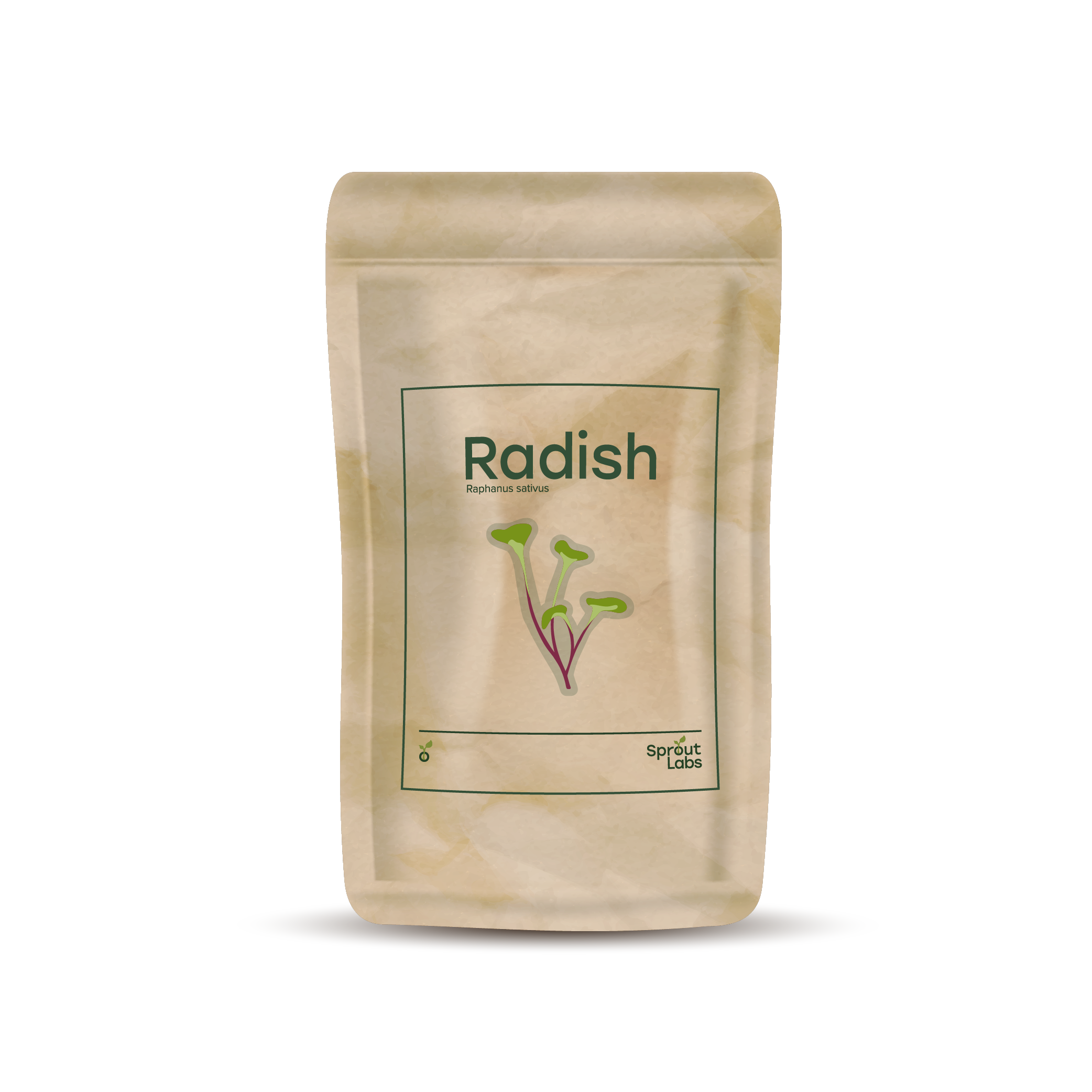 Radish